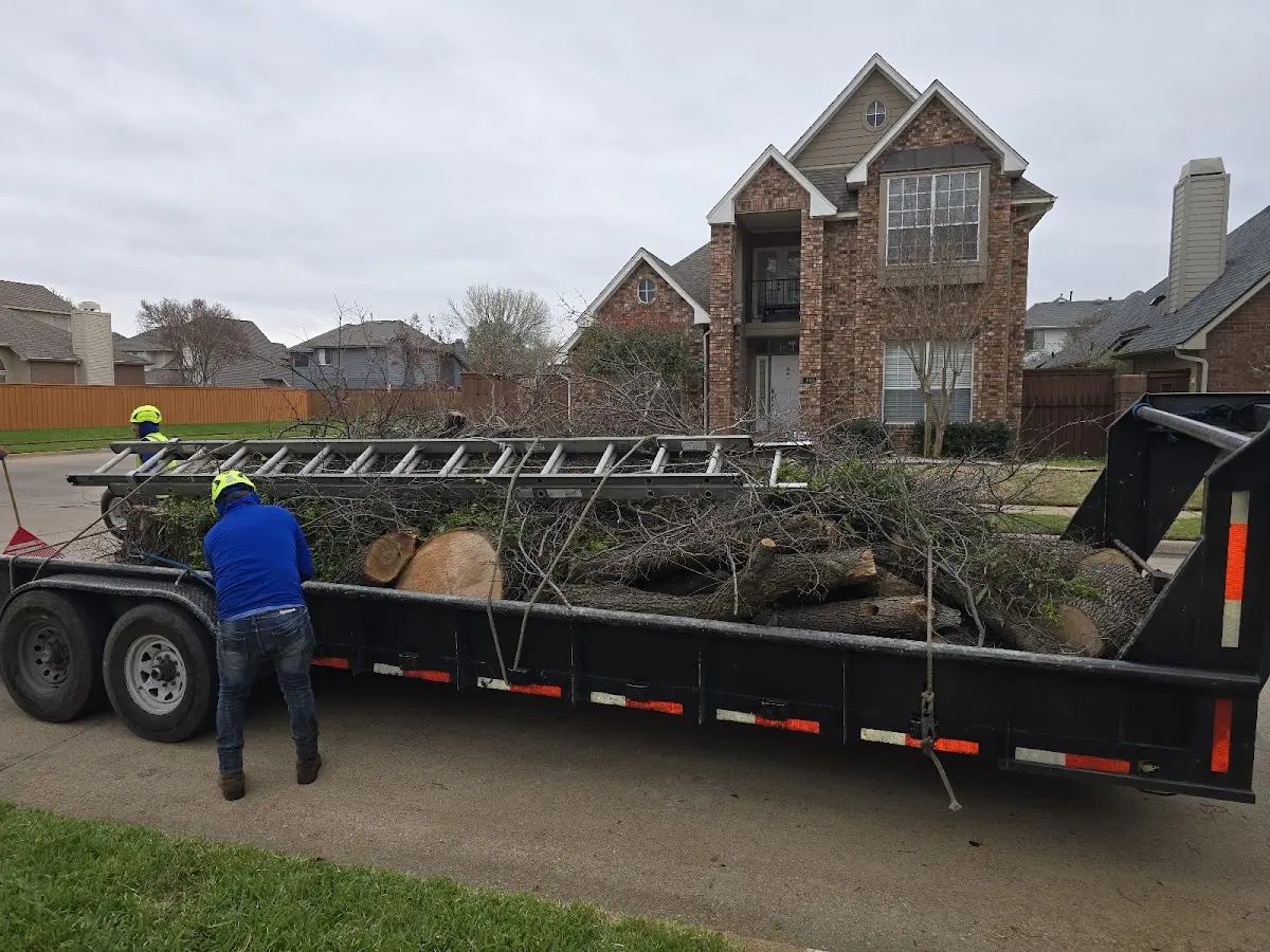 Expert Tree Fertilization with proper safety equipment in Des Arc